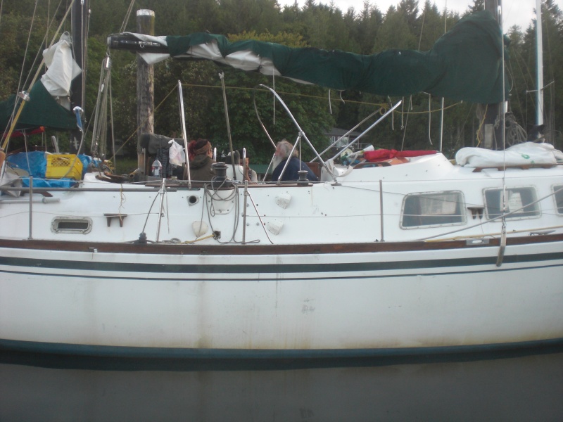 Neighbours serenaded the marina with Irish folk songs.