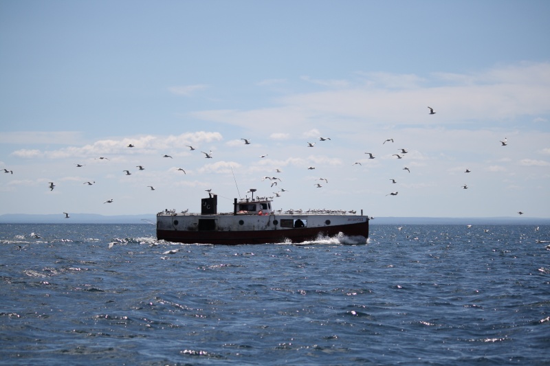 Net boat on Lake Superior