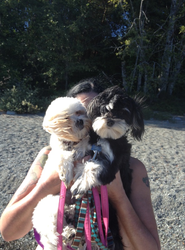 New boating buddies