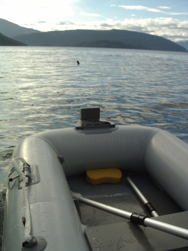 New dinghy - Achilles donut, with motor mount