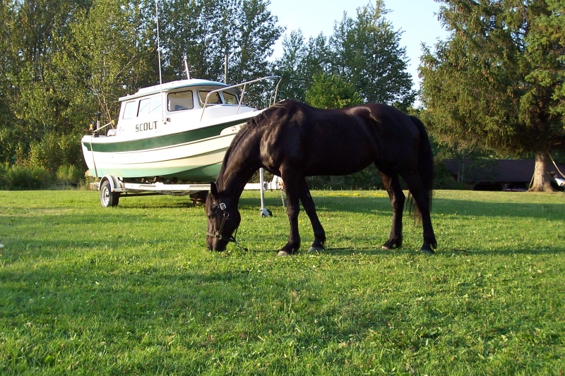 New tow rig?