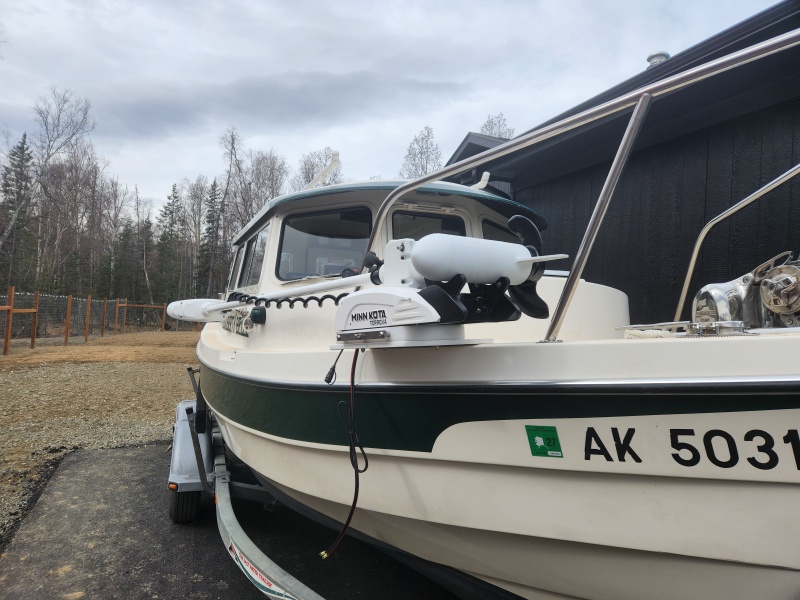 New Trolling Motor