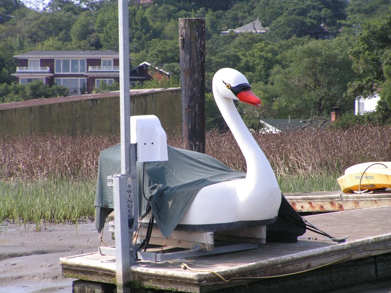 New type of dingy?