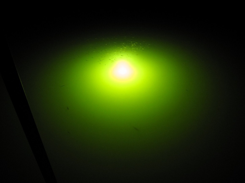 new underwater light at the dock
