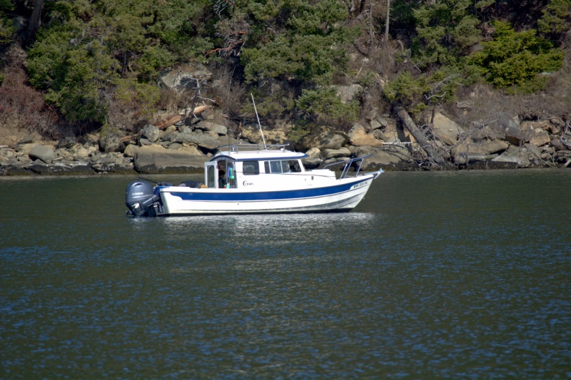 New Yamaha 115 on the 22 Cruiser