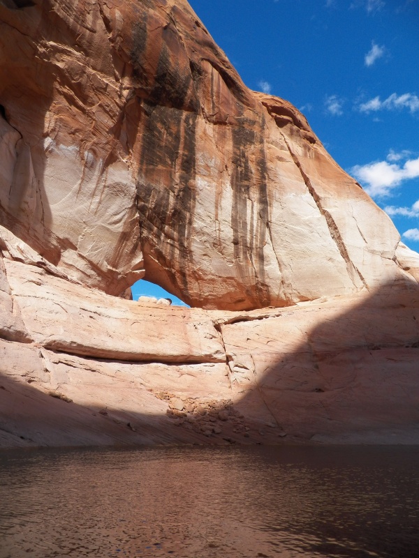 Newly discovered "C-Swell Arch" in Twilight Canyon.  It's an elephant head with the eye on the upper right.