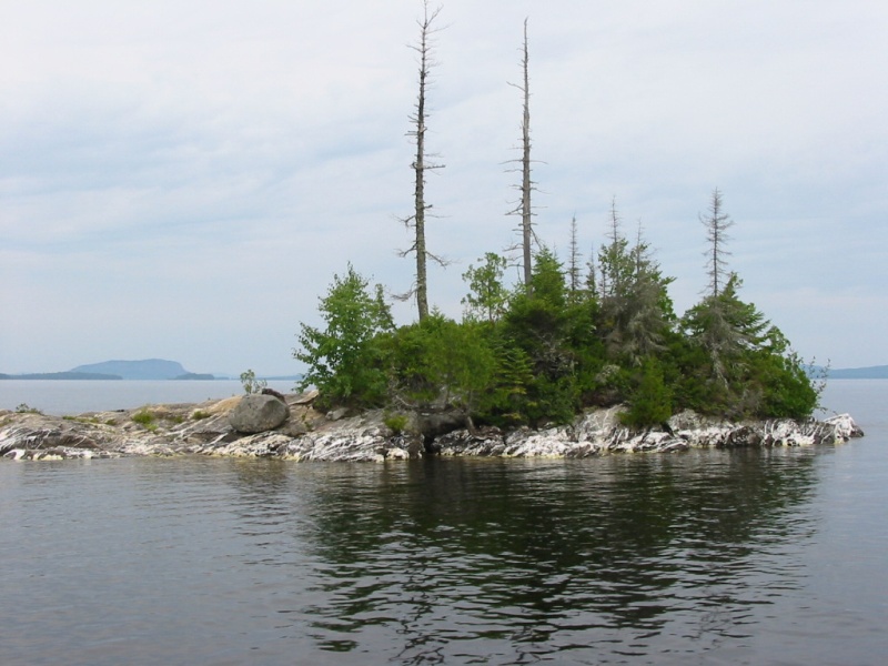 Nice to look at, not so nice to run into. One of hundreds on Moosehead.