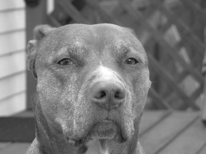 Niko 8/20/2010