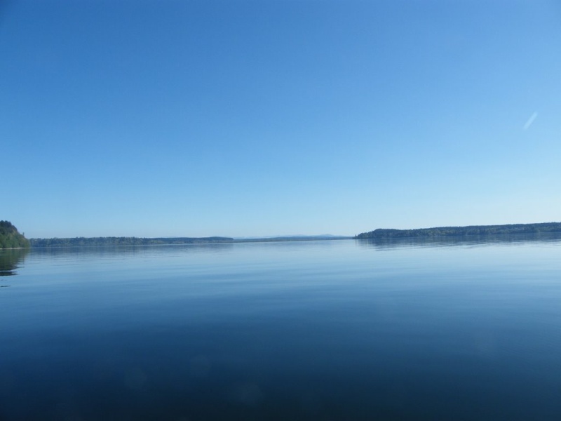 Nisqually Delta.