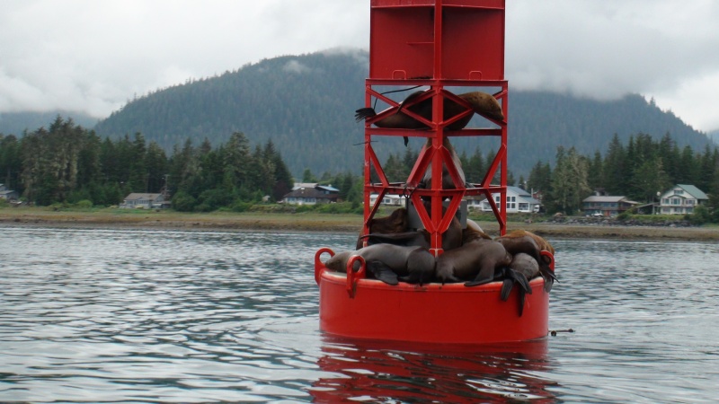 No problem for these fellows to get in the cockpit of boat