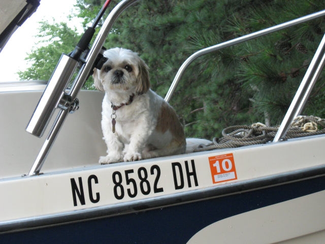 No really I'm fine up here!
