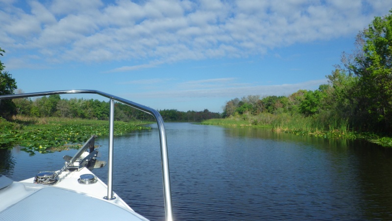 Norris River in the Morning.