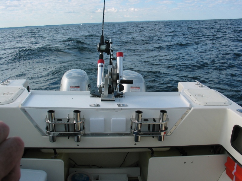 (Not For Hire) Center downrigger with two rod holders.