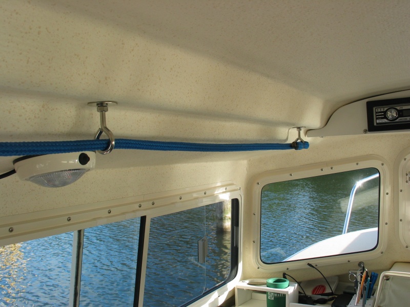 (Not For Hire) Port side interior grab line.