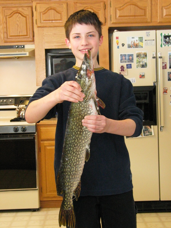(Not For Hire) Winter northern pike.