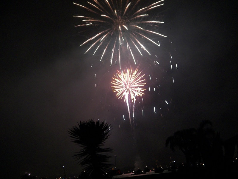 Note the palm tree sillouhettes... big deal for a Kansan!