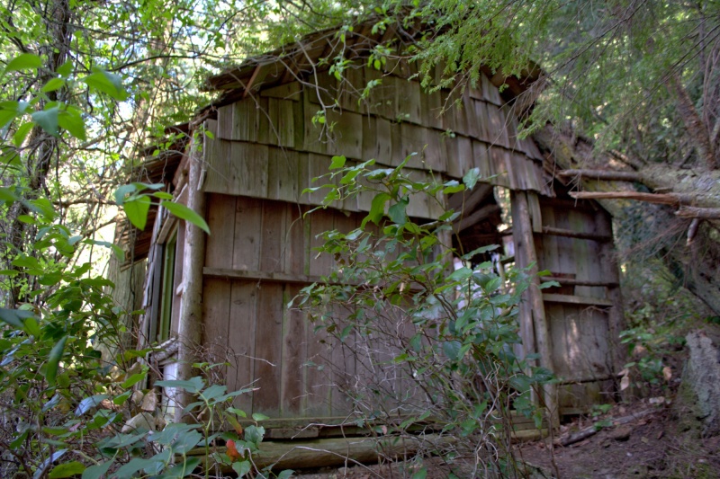 Noticed another old cabin just above the beach