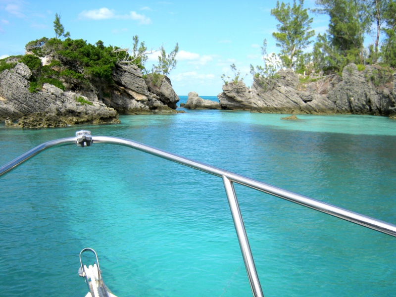November in Bermuda-near blizzard conditions. :)