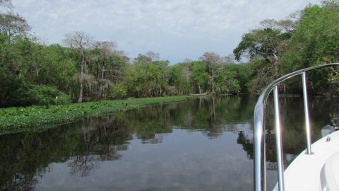 now on the Hontoon River