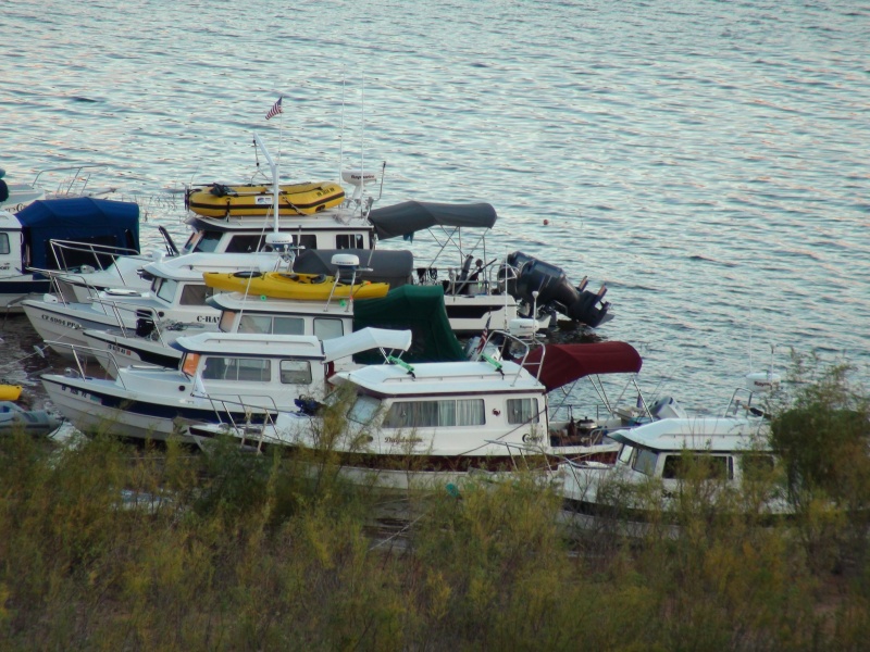 Oak Canyon Bay 25 Sept Photo by Hunkydory Jay