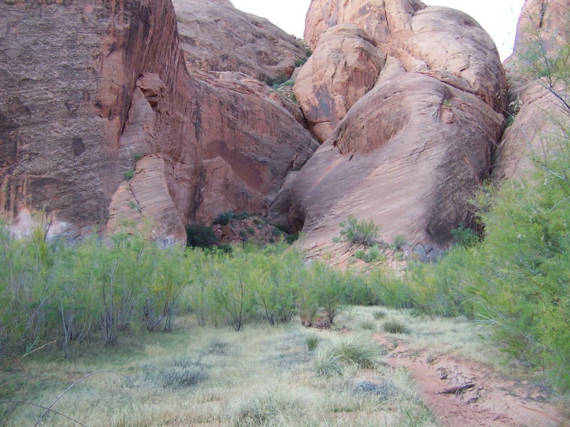 Oak Canyon near where we beached