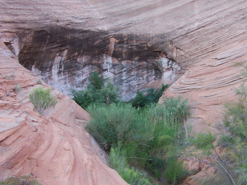 Oak Canyon near where we beached
