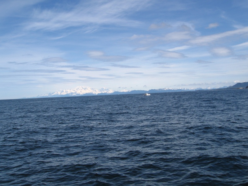 ocean conditions