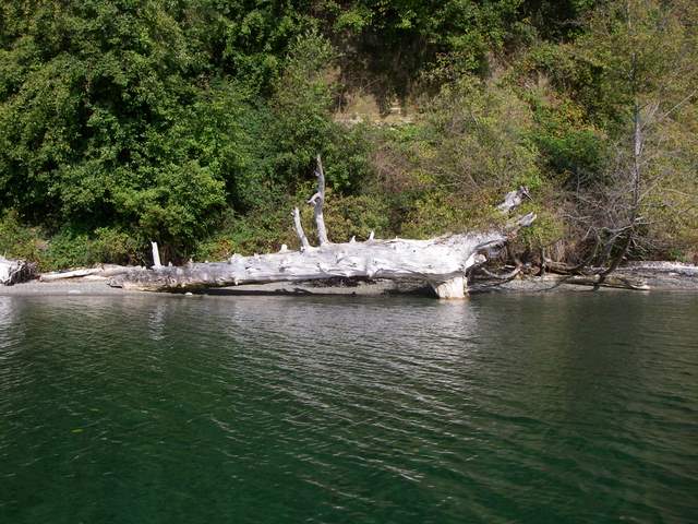Oct cruise