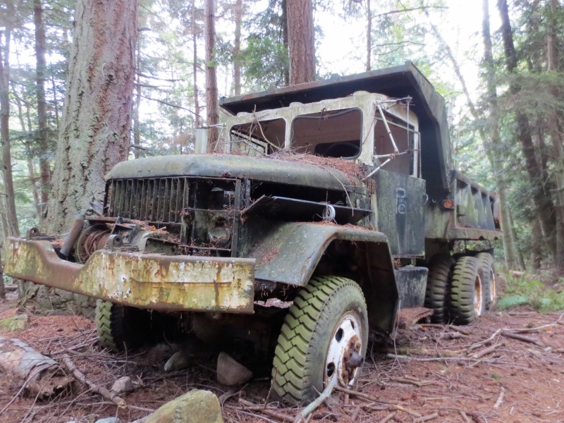 Old dump truck along the trail up to the airstrip on Cypress.