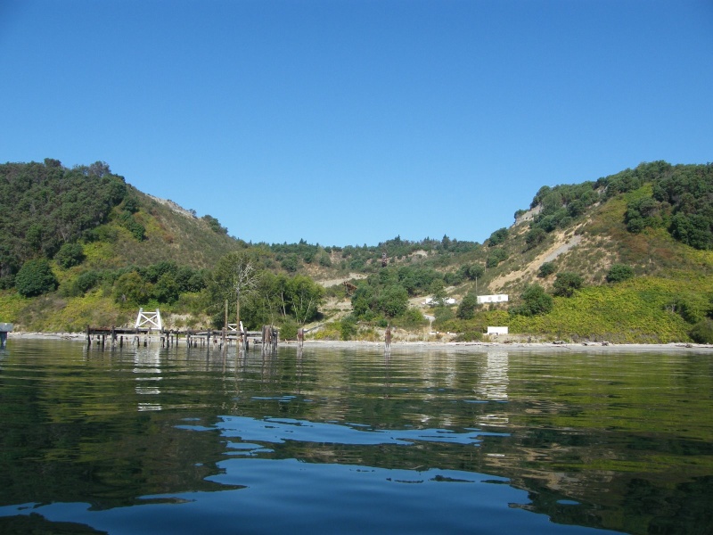 Old gravel pit, Maury Island