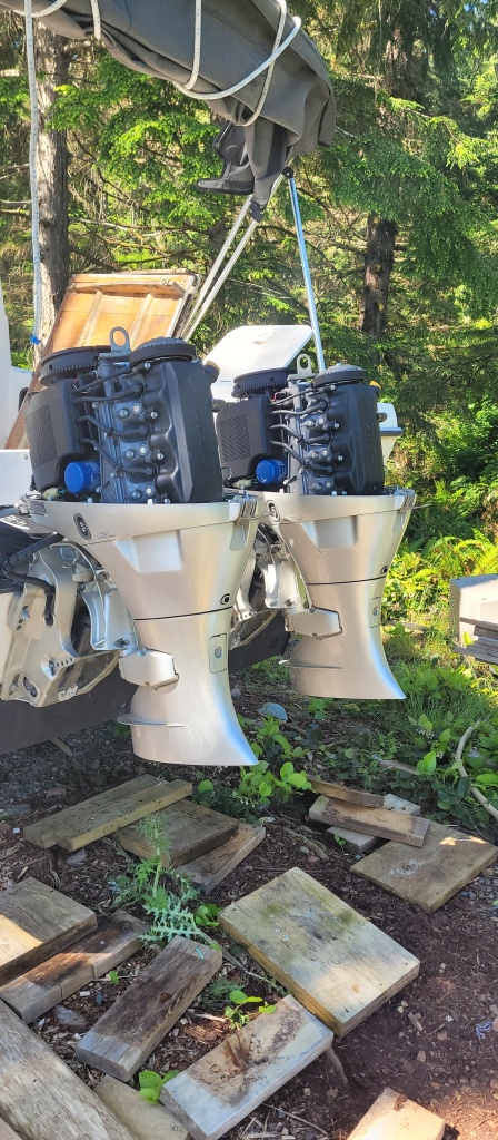 Old school 2003 Honda 40hp. Very easy to work on. Just changed the impellers, thermostats,  plugs, oil and filters June 2023