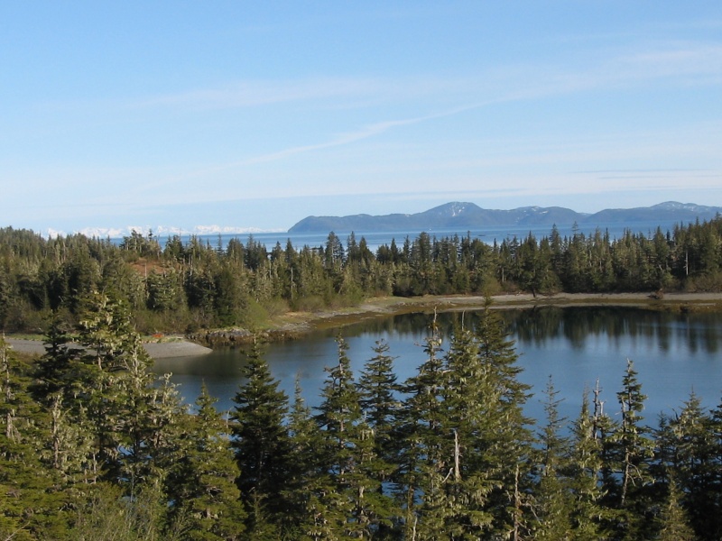 Olsen Cove looking toward Naked Island