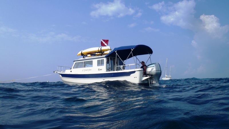 On mooring ball at Molasses Reef.