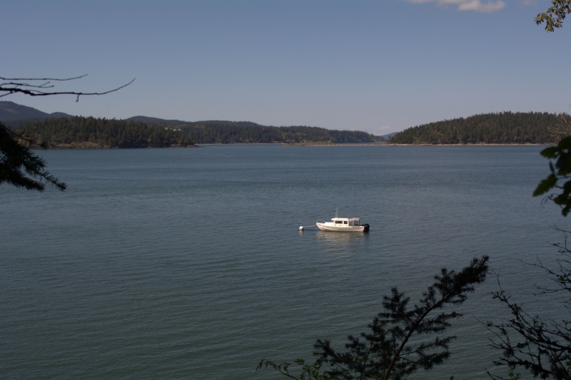 On the buoy on north side of Hope Island