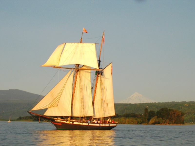 On the Columbia R. Near Camas WA, Mount Hood in background
