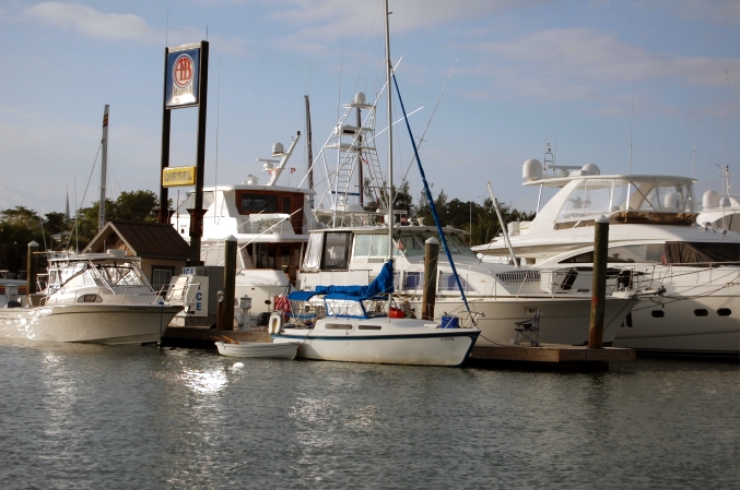 On the dock at A & B Marina, Key West, Fl.