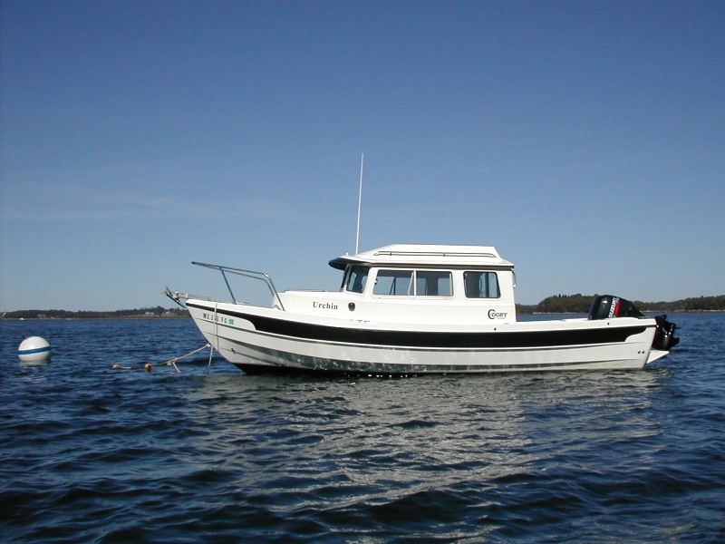 ON THE MOORING