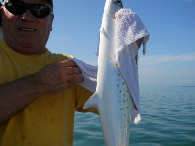 On the Spanish Mackerel
