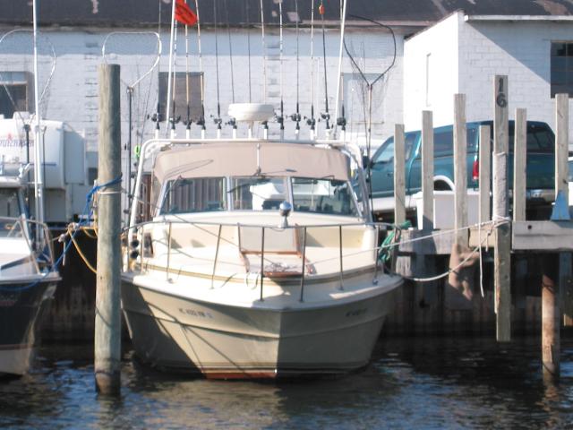 One can't have too many fishing poles when you fish for salmon in the Great Lakes.