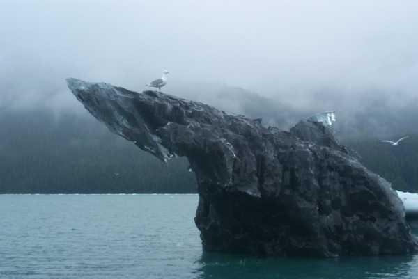 One dirty berg.JPG