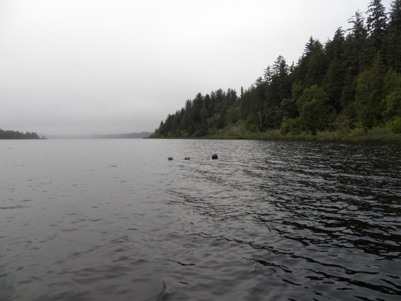 One exception was Rocky Point.  The bolders went out into the water, some just barely touching the surface and others, like this one marked with crab pot buoys, were just under the surface.