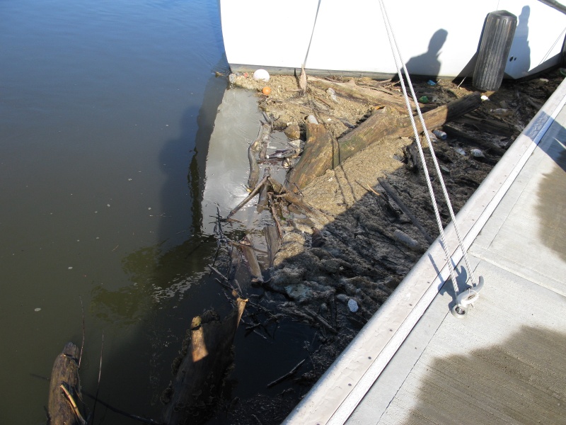 One night's collected debris at Clarksville dock.