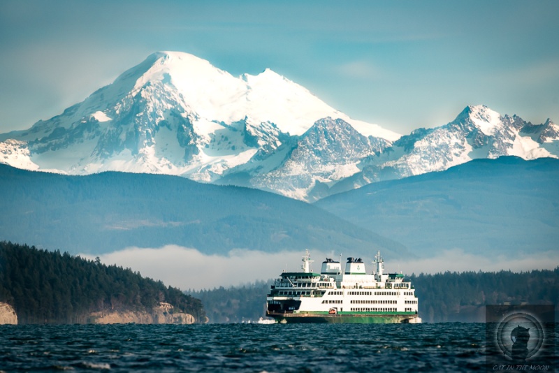 One of the photos Diana took of Mount Baker https://www.facebook.com/catinthemoonphoto/
