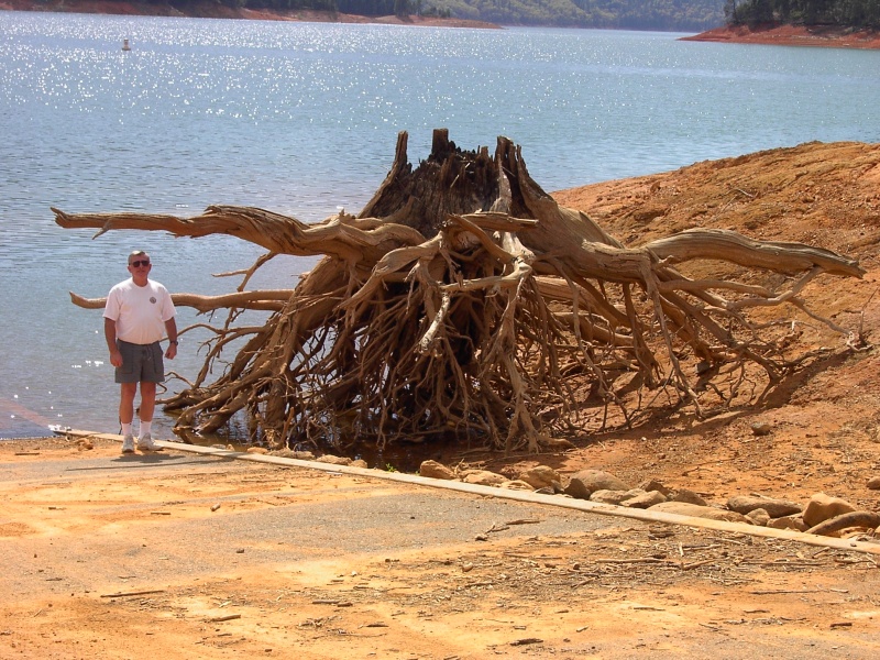 One of those underwater "Anchor Traps" at Lake Shasta