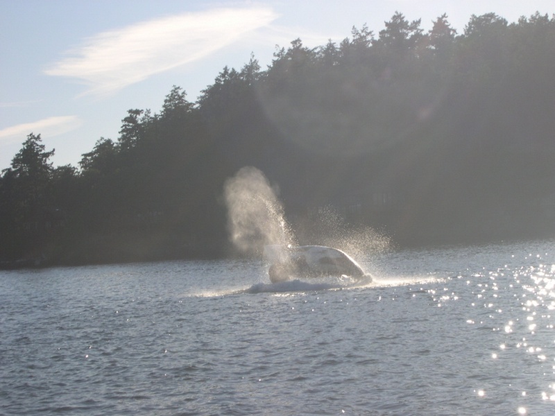 Orca breaching West of Brown Island near Friday Harbor, Wa.  8/06