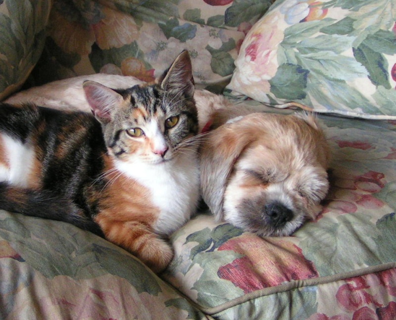 Oscar and Columbia