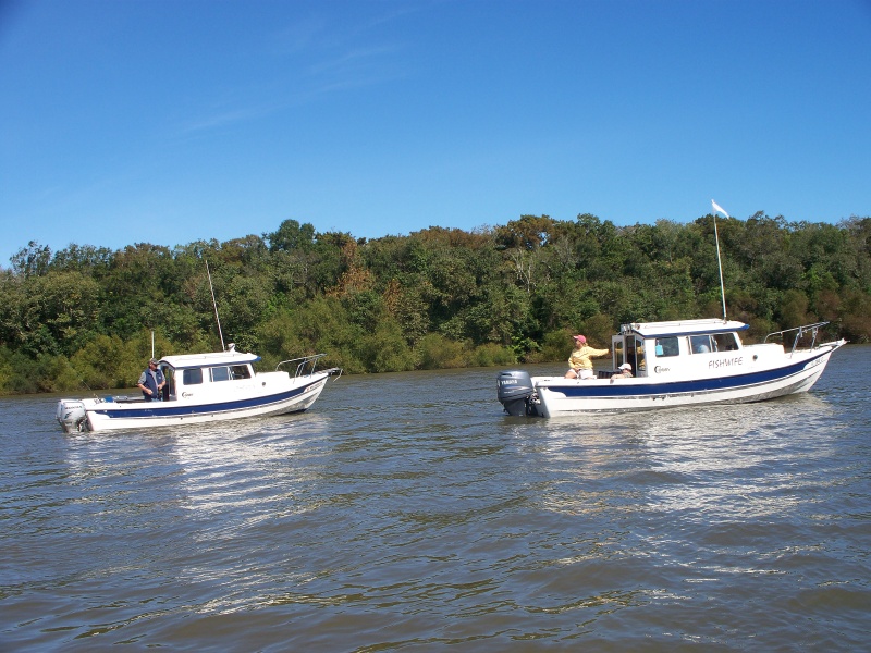Osprey & Fishwife
