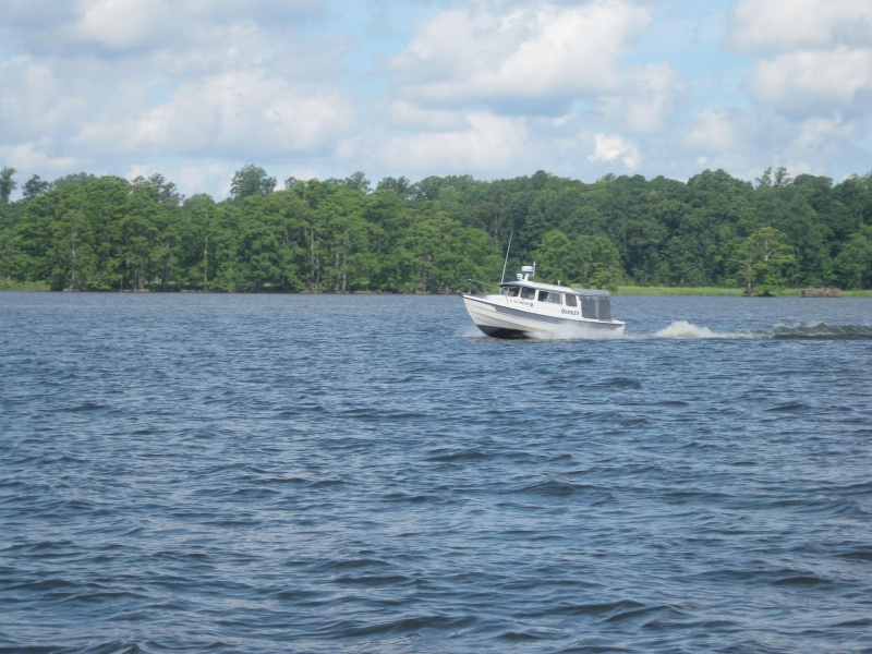 Osprey on the Chickahominy