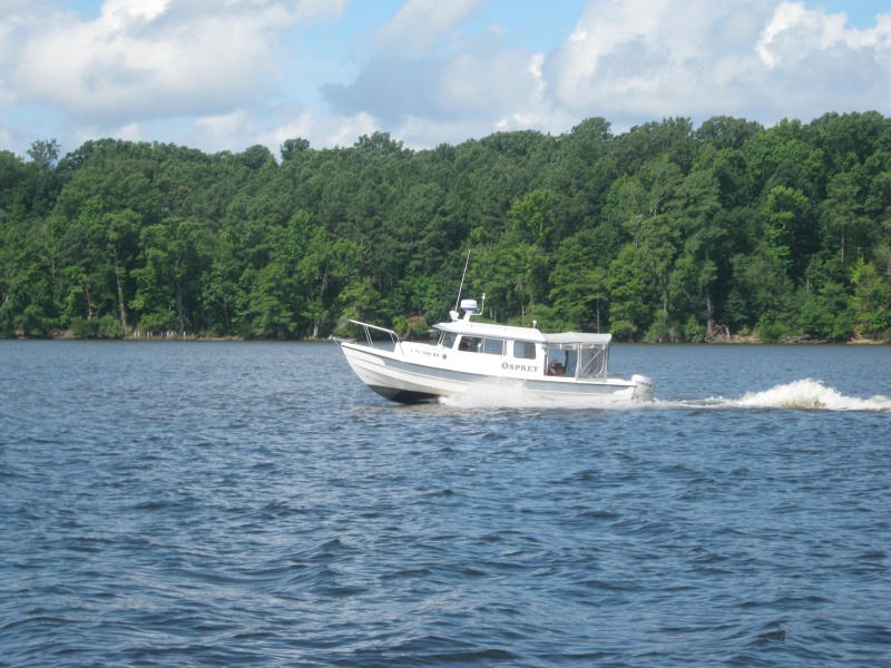 Osprey on the Chickahominy