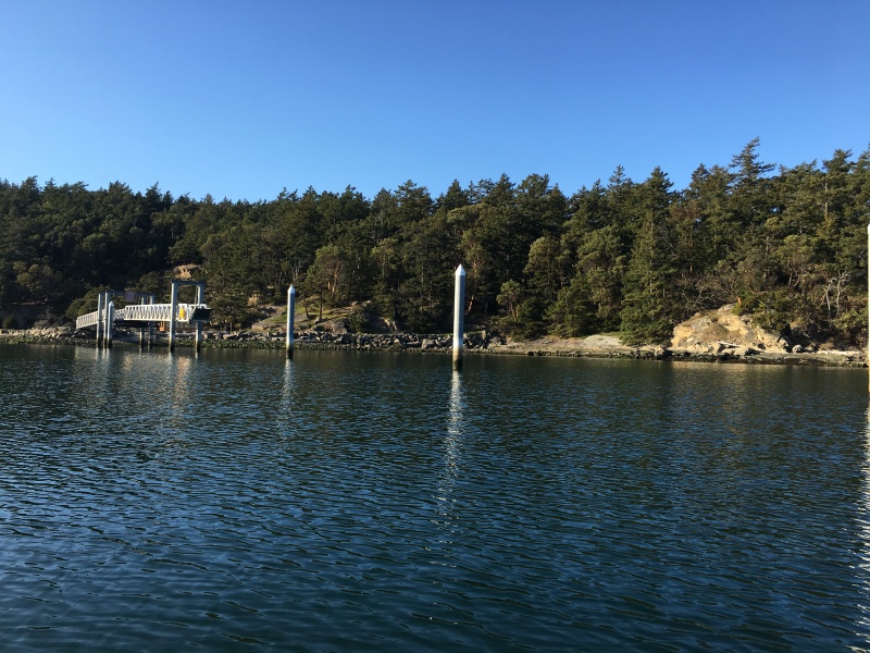 Other dock not yet placed